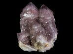 Cactus Quartz (Amethyst) Crystal Cluster - South Africa #64238-1
